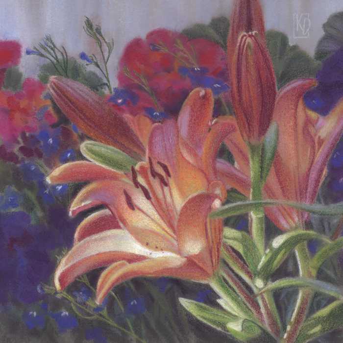 Lily Glow, Colored Pencil & Pastel, 6.25" x 6.25"
